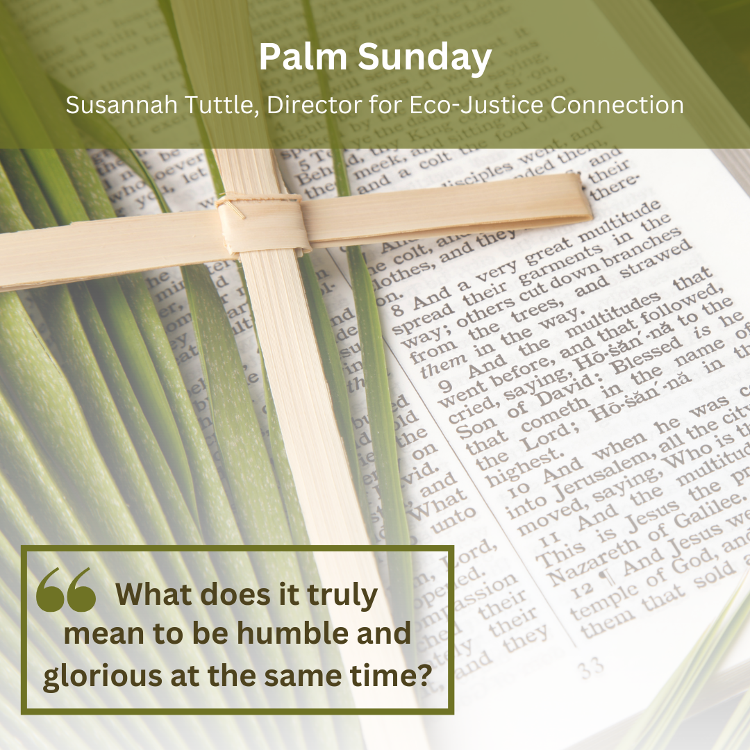 2023 Lenten Guide: Palm Sunday