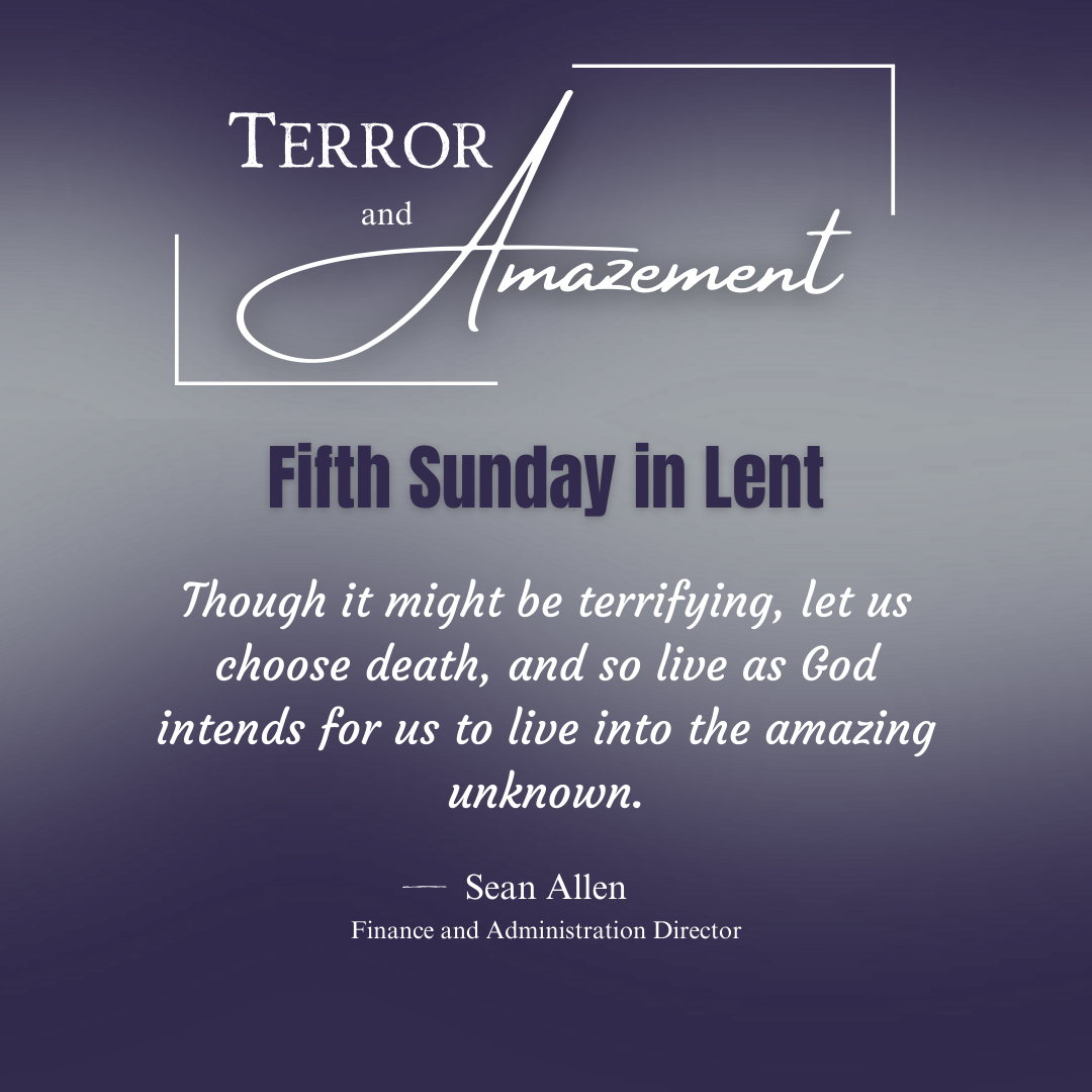 2024 Lenten Guide: Fifth Sunday